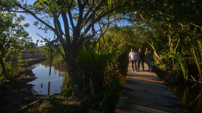 WISATA ALAM GREEN TALAO PARK DI PADANGPARIAMAN Pengunjung menikmati wisata alam menggunakan kano di Green Talao Park, Ulakan, Kabupaten Padangpariaman, Sumatera Barat, Minggu (22/5/2022). Kawasan wisata alam yang menawarkan sensasi menyusuri hutan mangrove nipah dan mengayuh kano di estuari itu terpilih sebagai 50 besar desa wisata terbaik pada Anugerah Desa Wisata Indonesia (ADWI) 2022 yang digelar Kemenparekraf. ANTARA FOTO/Iggoy el Fitra/wsj.