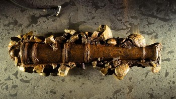 Kapal bajak laut Blackbeard yang bernama Queen Annes Revenge ditemukan pada 1996 di lepas pantai North Carolina, AS. Pada 2013, tim ilmuwan menemukan 5 meriam dari reruntuhan kapal. Foto: National Geographic