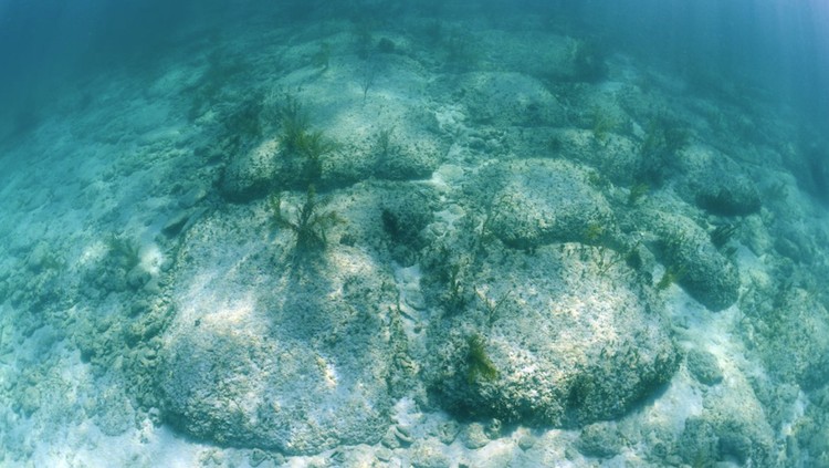 Benda Aneh di Bawah Laut Jalan Bimini Benda Aneh di Bawah Laut Jalan Bimini di Bahama