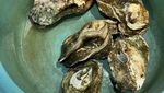 10 Potret Chenle NCT Dream Makan Manggis dan Cicip Seafood di Muara Karang