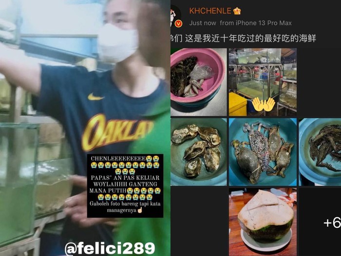 Chenle NCT Chenle NCT
