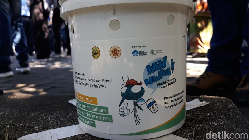 Ember berisi telur nyamuk wolbachia di Bantul.