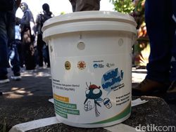 Detik-detik Bill Gates Digigit Hewan Berbahaya di Yogyakarta