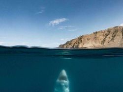 Foto Ini Bikin Terkesima Tapi Menakutkan Bagi Fobia Perairan Luas & Dalam