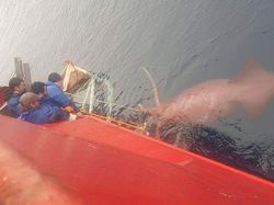 Foto Ini Bikin Terkesima Tapi Menakutkan Bagi Fobia Perairan Luas & Dalam