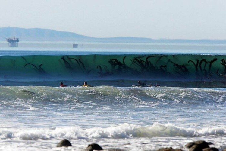 Foto mengerikan thalassophobia