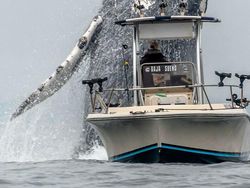 Foto Ini Bikin Terkesima Tapi Menakutkan Bagi Fobia Perairan Luas & Dalam