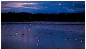 Ada yang berani malam-malam di sini. Foto: via Bored Panda