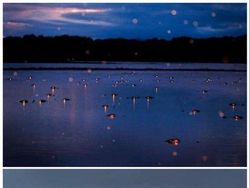 Foto Ini Bikin Terkesima Tapi Menakutkan Bagi Fobia Perairan Luas & Dalam