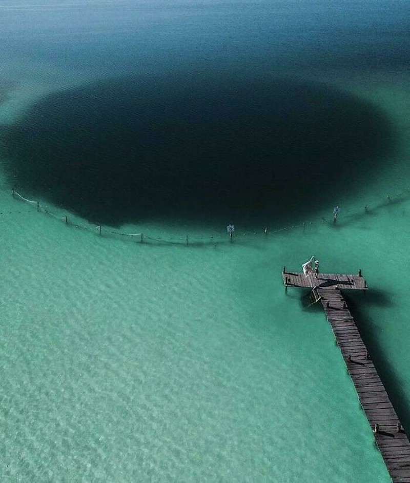 Foto mengerikan thalassophobia
