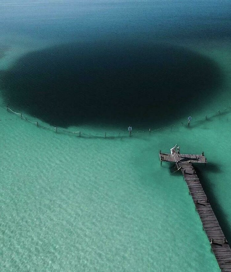 Foto mengerikan thalassophobia Foto mengerikan thalassophobia