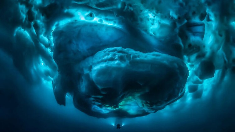 Foto mengerikan thalassophobia Foto mengerikan thalassophobia