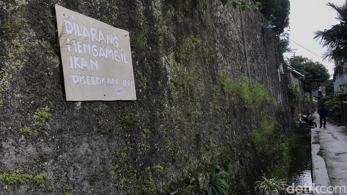 Ada saja yang dilakukan masyarakat untuk memperindah kawasan tempat tinggalnya. Seperti yang dilakukan beberapa warga di Gang Pramuka, RT 01/02, Kelurahan Selabatu, Kecamatan Cikole, Kota Sukabumi yang menyulap saluran irigasi menjadi kolam ikan.