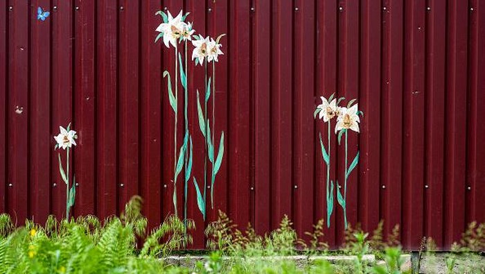 Menutup Jejak Perang di Ukraina dengan Lukisan Bunga dan Kupu-kupu BUCHA, UKRAINE - MAY 23: A butterfly painted around bullet and shrapnel holes by Canadian artist Ivanka Siolkowsky in the war torn suburb of Bucha on May 23, 2022 in Bucha, Ukraine. Silolkowsky is of Ukrainian descent and initially left Toronto at the beginning of the Russian invasion to help with refugees at the Polish border eventually volunteering to help in Bucha. She painted her first flower around a bullet hole after speaking to a resident who said βThe bullet holes in my fence remind me of all that Iβve lost