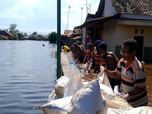 Gelombang Tinggi Masih Mengancam, Pekalongan Kebut Penambalan Tanggul