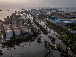 Beda Banjir Rob dan Banjir Bandang, Bagaimana Bisa Terjadi?