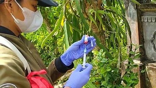 Petugas vaksinasi rabies dari Dinas Pertanian dan Pangan Jembrana, di Desa Pergung, Kamis (12/5/2022)