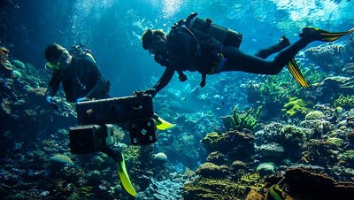Lihat Nih, Belanda Bikin Karang Buatan yang Meniru Terumbu Alami di RI