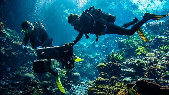 Tiru Terumbu Alami Indonesia, Perusahaan Belanda Kembangkan Karang Buatan ARNHEM, FRIESLAND, NETHERLANDS - 2022/05/23: Two divers from the zoo are seen placing the artificial coral reef under the water in the aquarium. 'Reefy', an innovative start-up from Delft, is using Burgers' Ocean as a testing ground for revolutionary, environmentally-friendly techniques to restore coral reefs in the wild. Reefy develops stable artificial reefs that protect the coast from wave erosion and stimulate biodiversity. Burgers' Ocean is a tropical aquarium at Royal Burgers' Zoo that holds eight million liters of water and is the largest coral reef in European public aquariums. The artificial reef was placed by two divers at the bottom of the aquarium. The coral reef in Arnhem imitates an Indonesian natural reef; the conditions and influences are similar to nature, making it an excellent location for the experiment. (Photo by Ana Fernandez/SOPA Images/LightRocket via Getty Images)