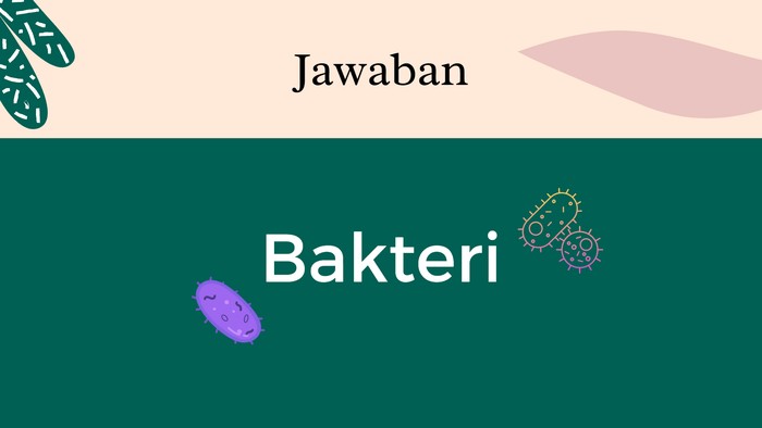 Asah otak detikHealth.