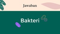 Ya, di dalam tubuh kita ada yang namanya bakteri jahat dan bakteri baik, detikers!