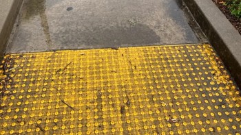 Memandu orang buta ke genangan air. Reddit via Brightside