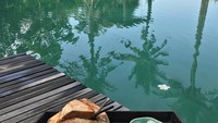 Ketika ikut berlibur ke Bali, momen bersantai di pinggir kolam menjadi kegiatan favorit Mimi Bayuh. Memesan sebuah kelapa dengan es yang menyegarkan membuat waktu rehatnya menjadi lebih lengkap. Foto: Instagram/mimibayuh