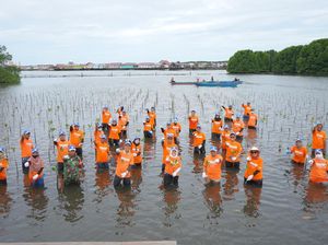 Karyawan Pupuk Kaltim Tanam 1.500 Bibit Mangrove di Perairan Bontang