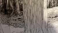 Ini sketsa yang menjadi cuitan kedua di akun Twitter Yoshihiro Togashi.  Foto: Istimewa