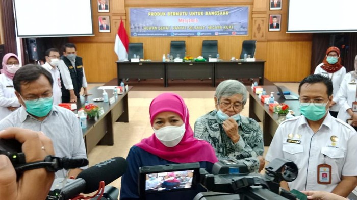 Pemprov Jatim Akan Support Pembuatan Vaksin PMK