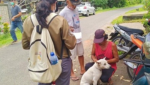 Petugas vaksinasi anjing rabies di salah satu desa zona merah, di Jembrana, Bali, Kamis (12/5).