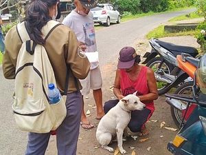 Daftar 38 Desa Zona Merah Rabies di Jembrana