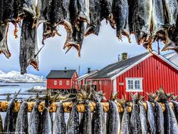 Karya Memukau Jawara Kontes Foto Makanan, Ada Lokasinya di Yogyakarta