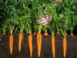 Karya Memukau Jawara Kontes Foto Makanan, Ada Lokasinya di Yogyakarta