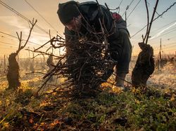 Karya Memukau Jawara Kontes Foto Makanan, Ada Lokasinya di Yogyakarta