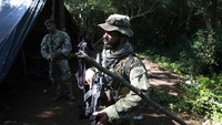 Operasi ini dilakukan bersama Polisi Federal Brasil.  