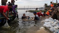 Regional Head 3 Pelindo, Ardhy Wahyu Basuki berharap tanggul yang jebol sepanjang 20 meter itu sudah bisa tertutup hari ini sehingga air yang masuk ke kawasan pelabuhan bisa segera ditangani. 