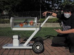 Youtuber Ini Bikin Aquarium Berjalan Biar Ikannya Bisa Menikmati Taman