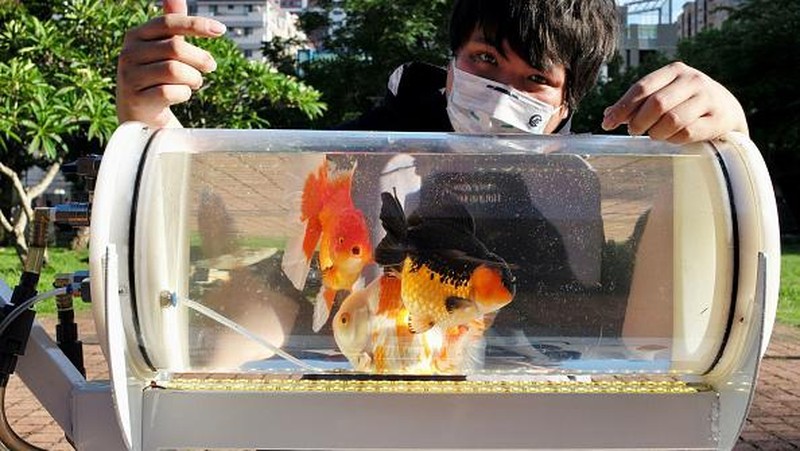 This picture taken on May 19, 2022 showing Jerry Huang walking with his fish tank trolley at a park in Taichung, central Taiwan. (Photo by Sam Yeh / AFP) (Photo by SAM YEH/AFP via Getty Images)