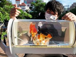 Youtuber Ini Bikin Aquarium Berjalan Biar Ikannya Bisa Menikmati Taman