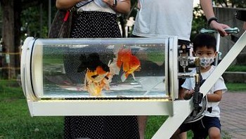 Tak ayal banyak warga yang tertarik dengan ikan-ikannya saat ia berjalan di sebuah taman.  