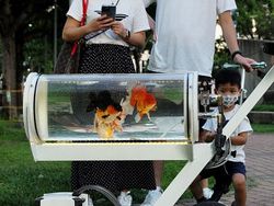 Youtuber Ini Bikin Aquarium Berjalan Biar Ikannya Bisa Menikmati Taman