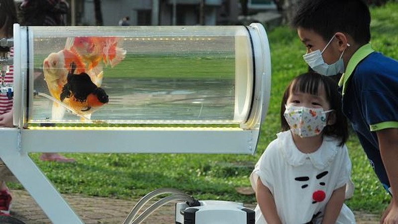 This picture taken on May 19, 2022 showing Jerry Huang walking with his fish tank trolley at a park in Taichung, central Taiwan. (Photo by Sam Yeh / AFP) (Photo by SAM YEH/AFP via Getty Images)