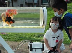 Youtuber Ini Bikin Aquarium Berjalan Biar Ikannya Bisa Menikmati Taman