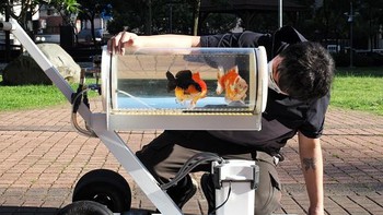 Dengan ide kreatifnya Jerry membuat kereta dorong yang digunakan untuk membawa tangki ikan.   