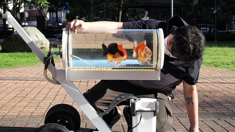 This picture taken on May 19, 2022 showing Jerry Huang walking with his fish tank trolley at a park in Taichung, central Taiwan. (Photo by Sam Yeh / AFP) (Photo by SAM YEH/AFP via Getty Images)