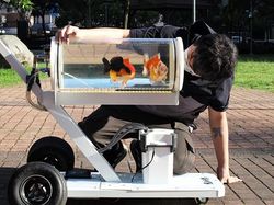 Youtuber Ini Bikin Aquarium Berjalan Biar Ikannya Bisa Menikmati Taman