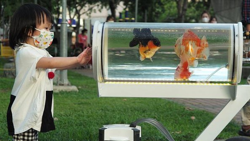 This picture taken on May 19, 2022 showing Jerry Huang walking with his fish tank trolley at a park in Taichung, central Taiwan. (Photo by Sam Yeh / AFP) (Photo by SAM YEH/AFP via Getty Images)