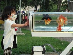 Youtuber Ini Bikin Aquarium Berjalan Biar Ikannya Bisa Menikmati Taman