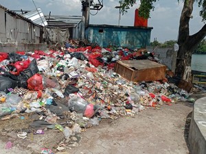 DLHK Depok soal Sampah Dekat Situ Rawa Besar: Akan Diangkut, tapi...